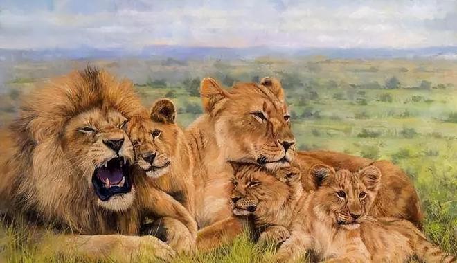 揭秘占地称王背后的动物智慧—以狮子为例