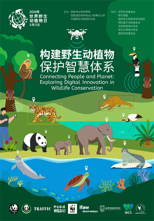 旧物新生，以旧换新背后的动物寓言与文化智慧