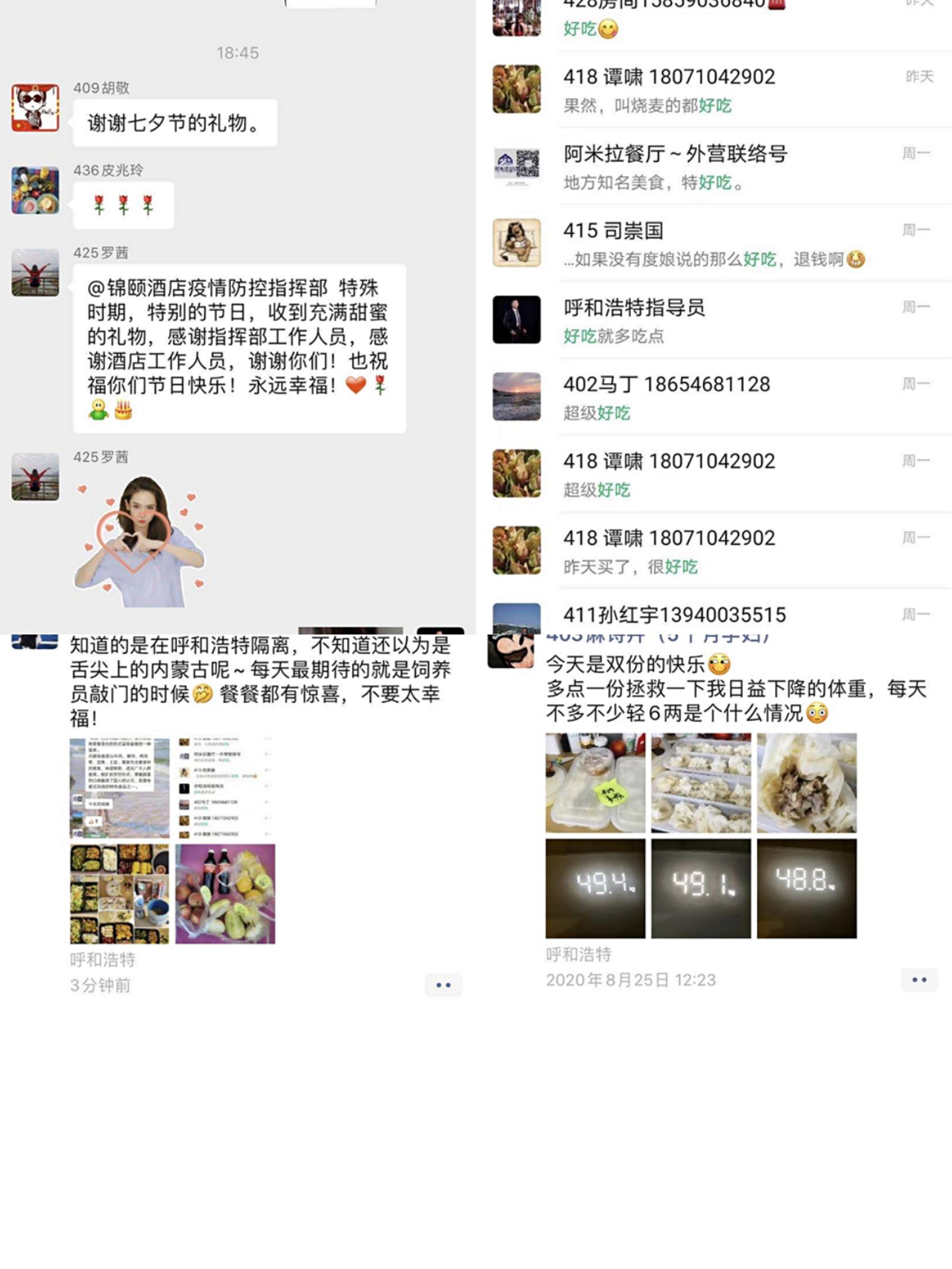 羊与什么生肖相合，最快解答与深度解析