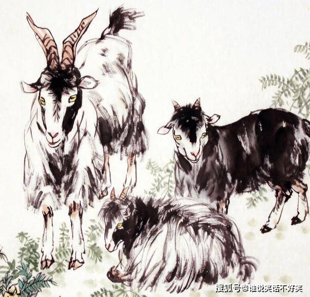 六六大顺开过什么生肖，正确解释与落实