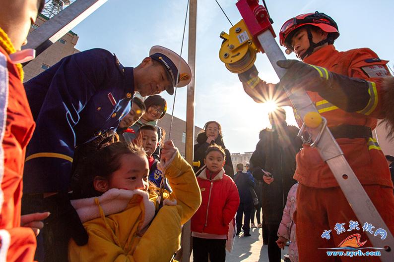 生肖与阅读偏好，揭秘喜欢读书的生肖及其深层原因
