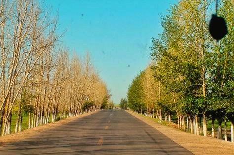 谜底揭晓，七月大地金灿灿—生肖之谜的终极答案