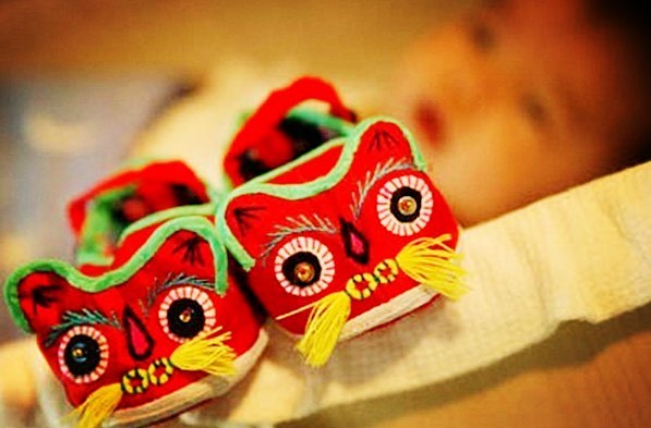 什么生肖不能穿虎头鞋，的社会进步与文化解析