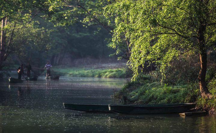 鸡犬相闻猜一动物，的不安分之选