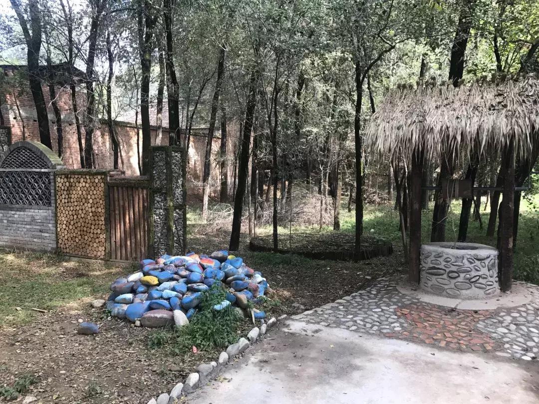 乡土难离，揭秘背后的动物谜题