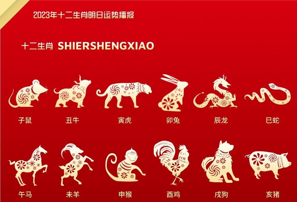 最新十二生肖，背后的智慧与哲理