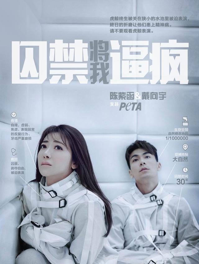 炙手可热猜一动物，狐狸的智慧与寓言