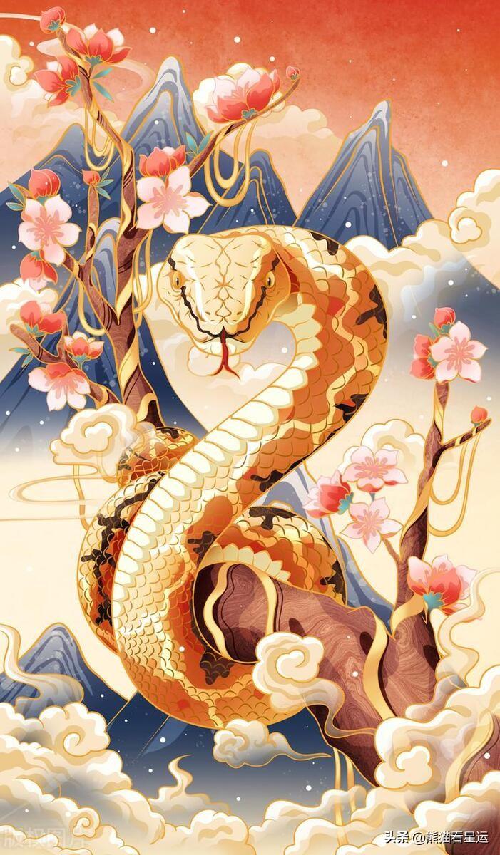 揭秘与虎谋皮，猜一最佳生肖的智慧与文化解读