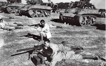 揭秘道听途说的生肖，从谣言到真相的探索