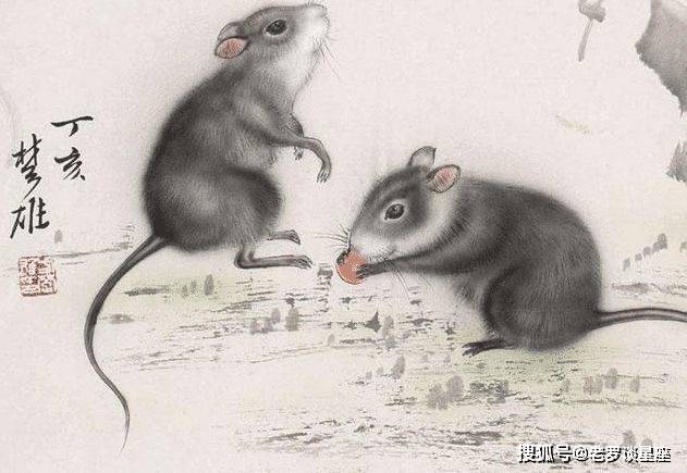 心直口快是什么生肖，能人解释与现代生活的落实