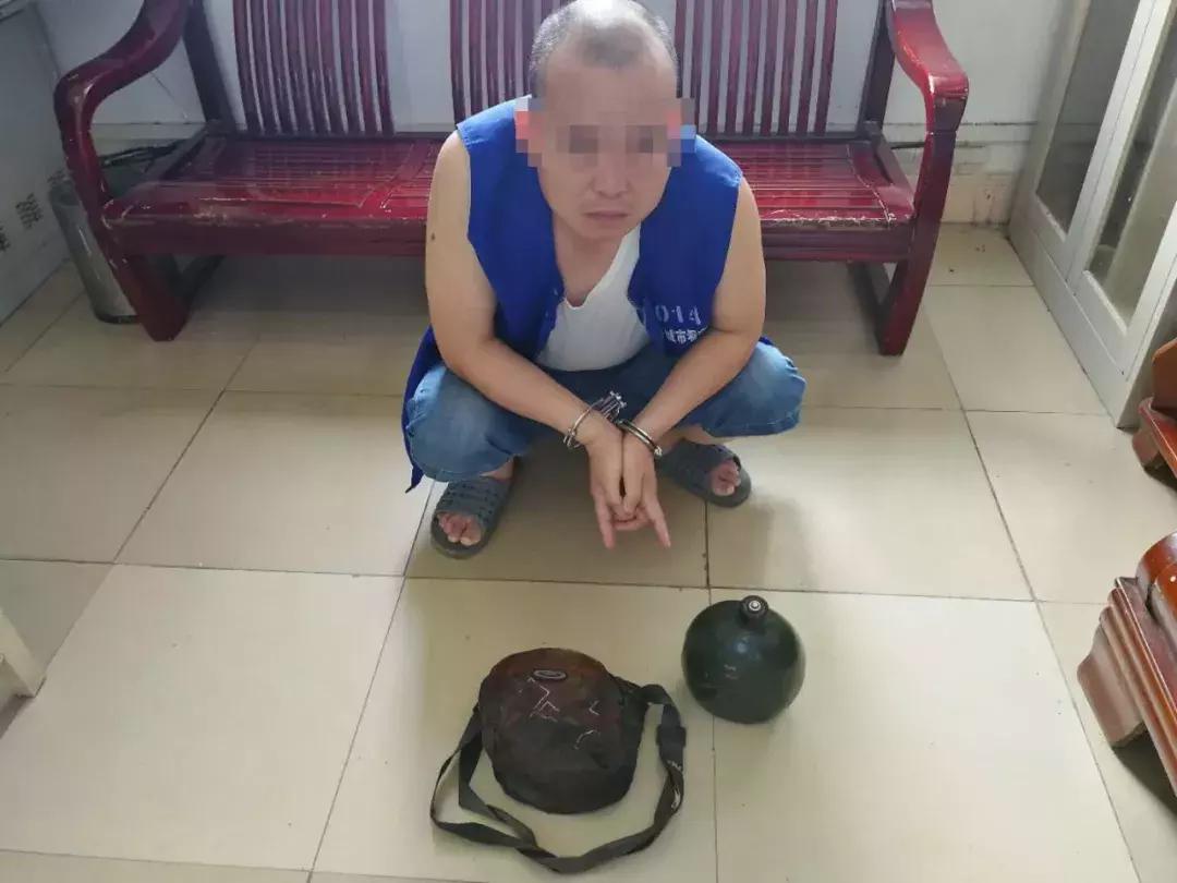 一身正气猜一动物，揭秘犟驴背后的文化与精神