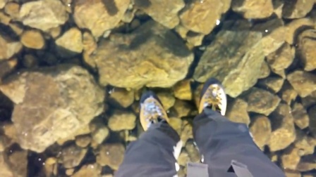 战战兢兢，揭秘生肖中的谨慎之王—鼠的智慧与选择