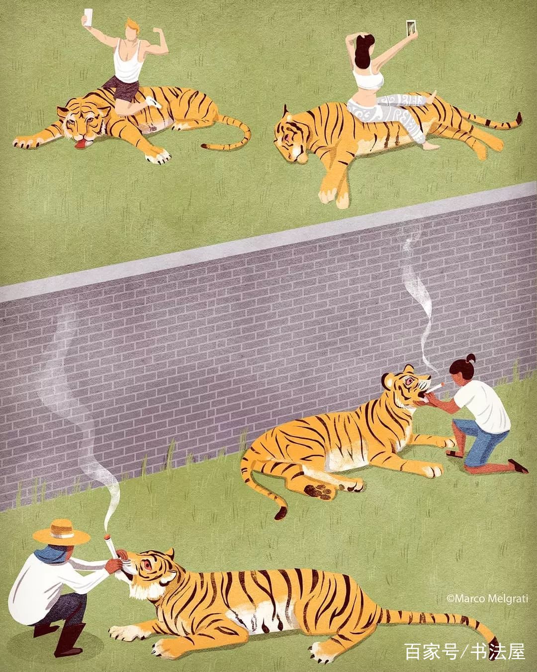 贪荣慕利猜一动物，全面解析与落实