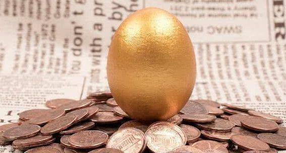 蜂拥而至打一生肖动物，采民作答落实解释