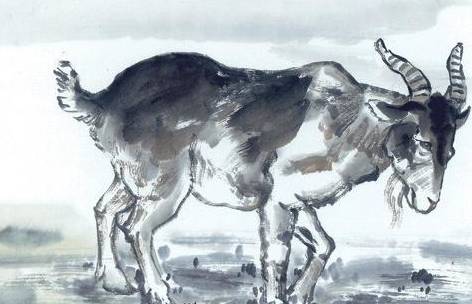 乐于助人,生肖中的温暖使者—论属羊人的无私奉献精神 乐于助人,生肖中的温暖使者—论属羊人的无私奉献精神