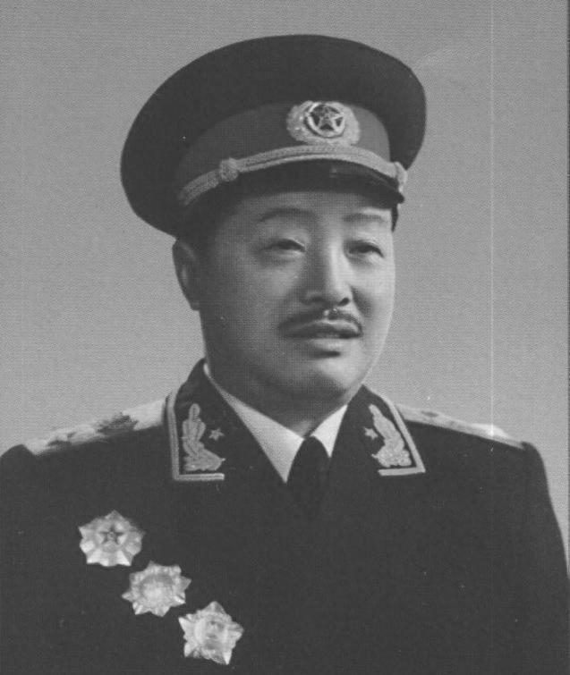 谢娜属什么生肖，背后的坚韧与不屈