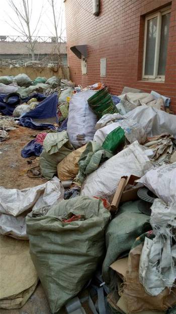 破罐破摔,揭秘这一生肖的独特性格与命运 破罐破摔,揭秘这一生肖的独特性格与命运