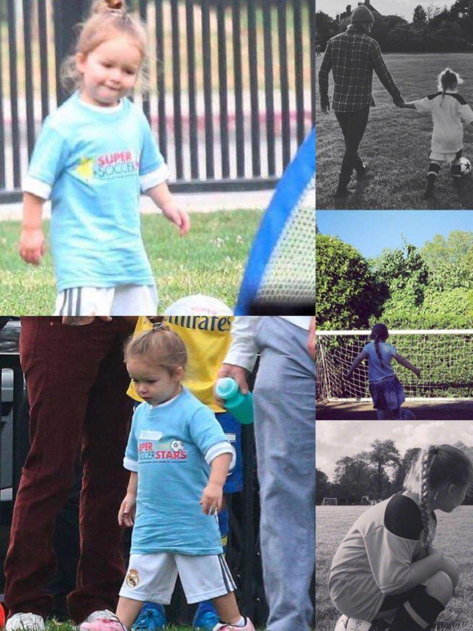 宽宏大度与生肖智慧，深度解析与智慧思考