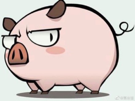 人怕出名猪怕壮是什么生肖，的精准解答与落实精神