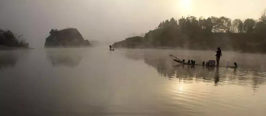 江东日暮云青山，生肖之谜与现代生活的诗意融合