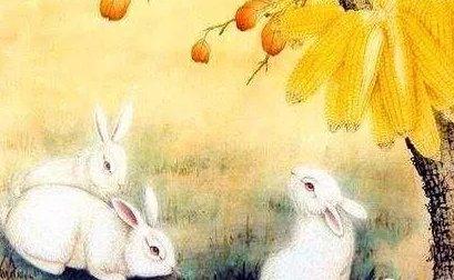 十二生肖的性格特点与积极行动的完美结合