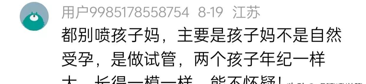 南方生肖文化探秘，真相与解释的深度落实