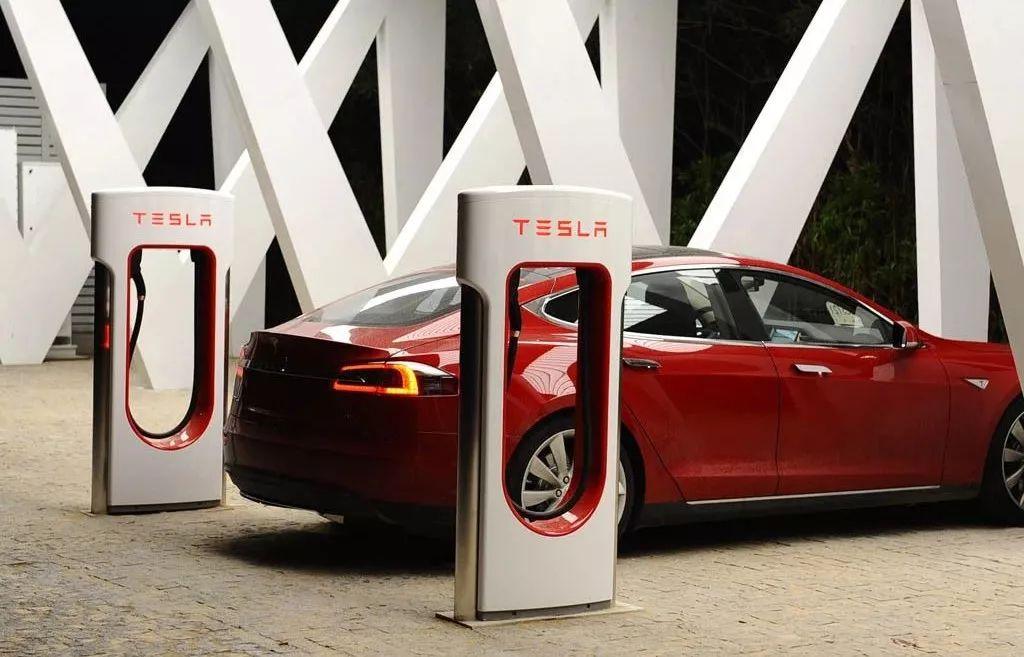 众人拾柴火焰高的生肖，解释与落实的和谐共舞