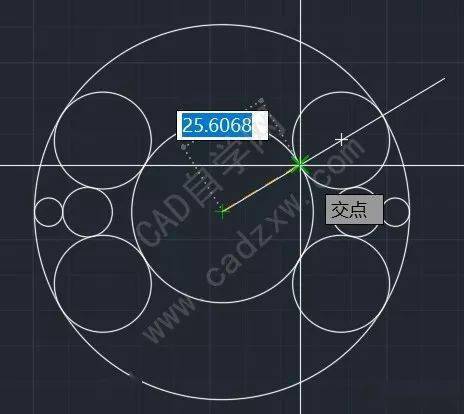眼高手低猜一动物?绝佳解释落实