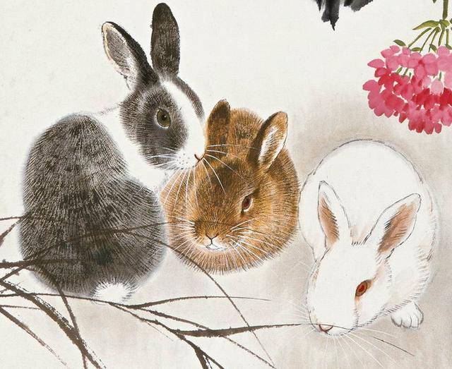 谜语解析，无头无尾的生肖之谜