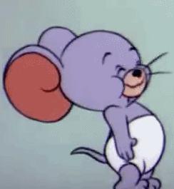 老鼠过街打一生肖，最新解释与落实