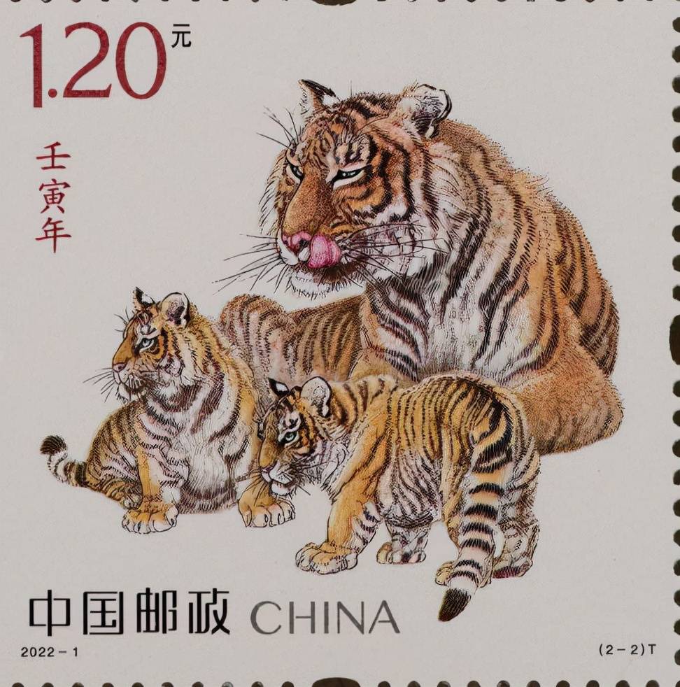 为虎作伥猜一最佳生肖，通常作答落实解释