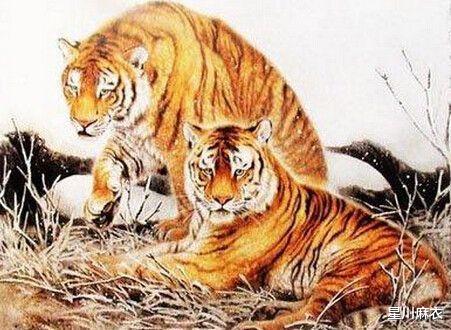 追名逐利是什么生肖，能人解释与现代生活的落实