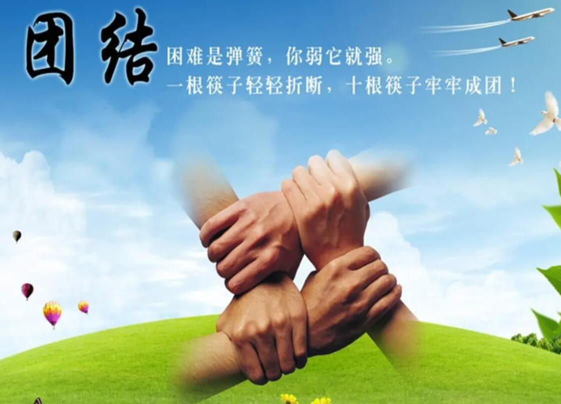 团结的力量，无所不有猜一生肖的智慧与启示