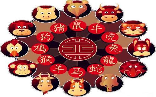 眼花撩乱猜生肖，揭秘传统智慧与现代思维的奇妙碰撞