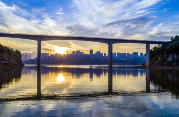 遇水叠桥，揭秘谜一般的动物—河狸的智慧与生存策略