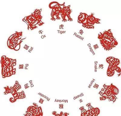 揭秘不三不四背后的生肖奥秘，传统文化与智慧玩味的巧妙结合