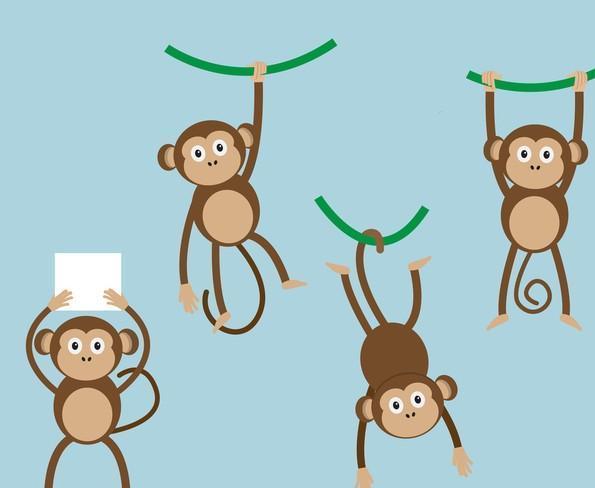 什么生肖不会说话，之谜与人生哲理的深度解析