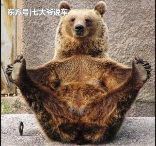 地上走来水上游，揭秘动物界的双栖奇才—水獭