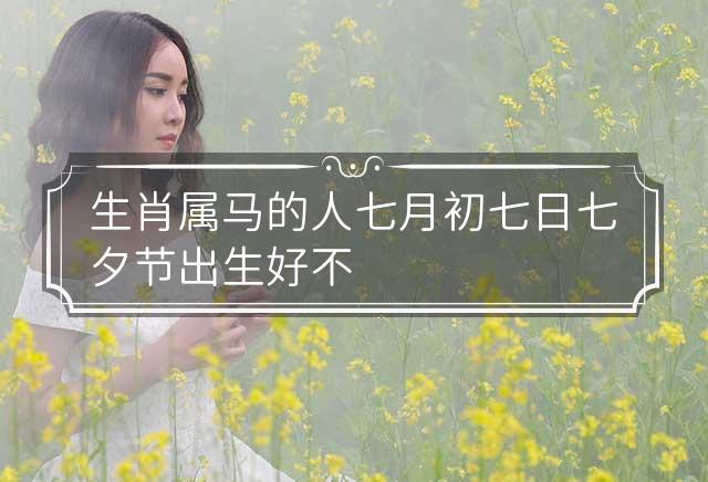 七月初七代表什么生肖，友爱作答落实解释