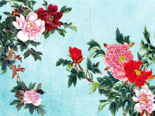 长舌妇是什么生肖，全面解析与落实