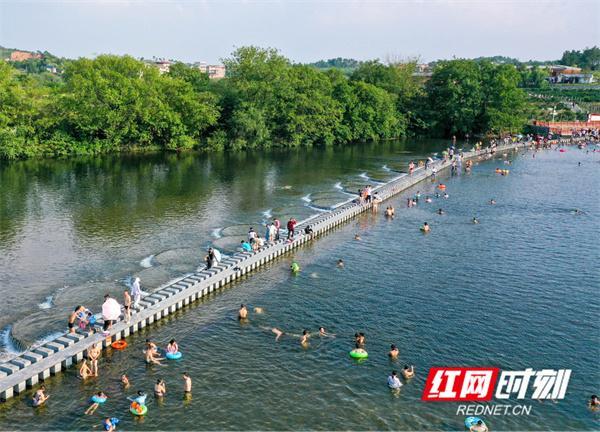 遇水叠桥，揭秘谜一般的动物—河狸的智慧与生存策略