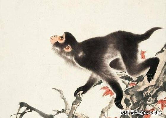 居高临下是指什么生肖，的最快解答落实