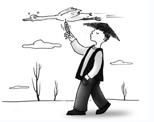 雁过拔毛，揭秘正确生肖的智慧谜题