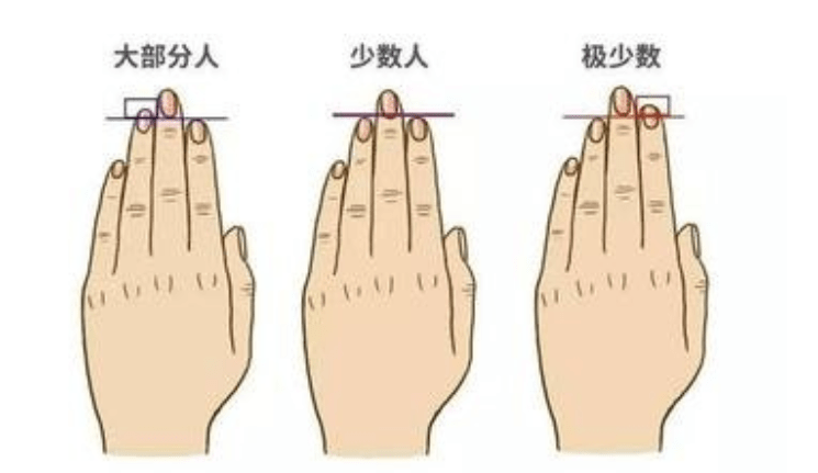 手足相连是指什么生肖，相信作答落实解释