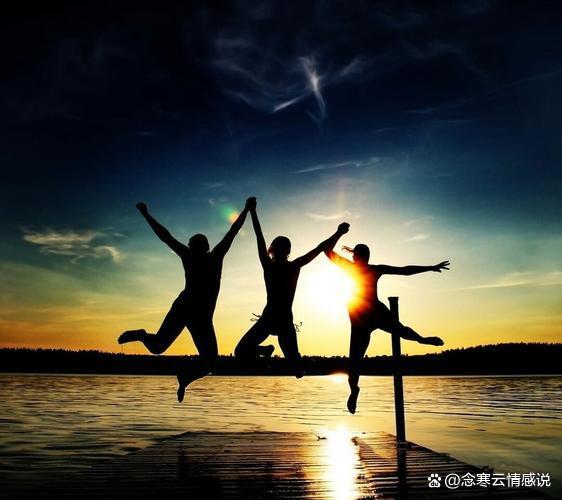 从抠心挖胆猜一动物到友爱作答落实解释，探索友谊与智慧的双重价值