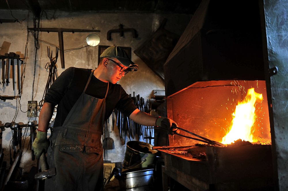 炉火纯青，探寻背后的动物隐喻