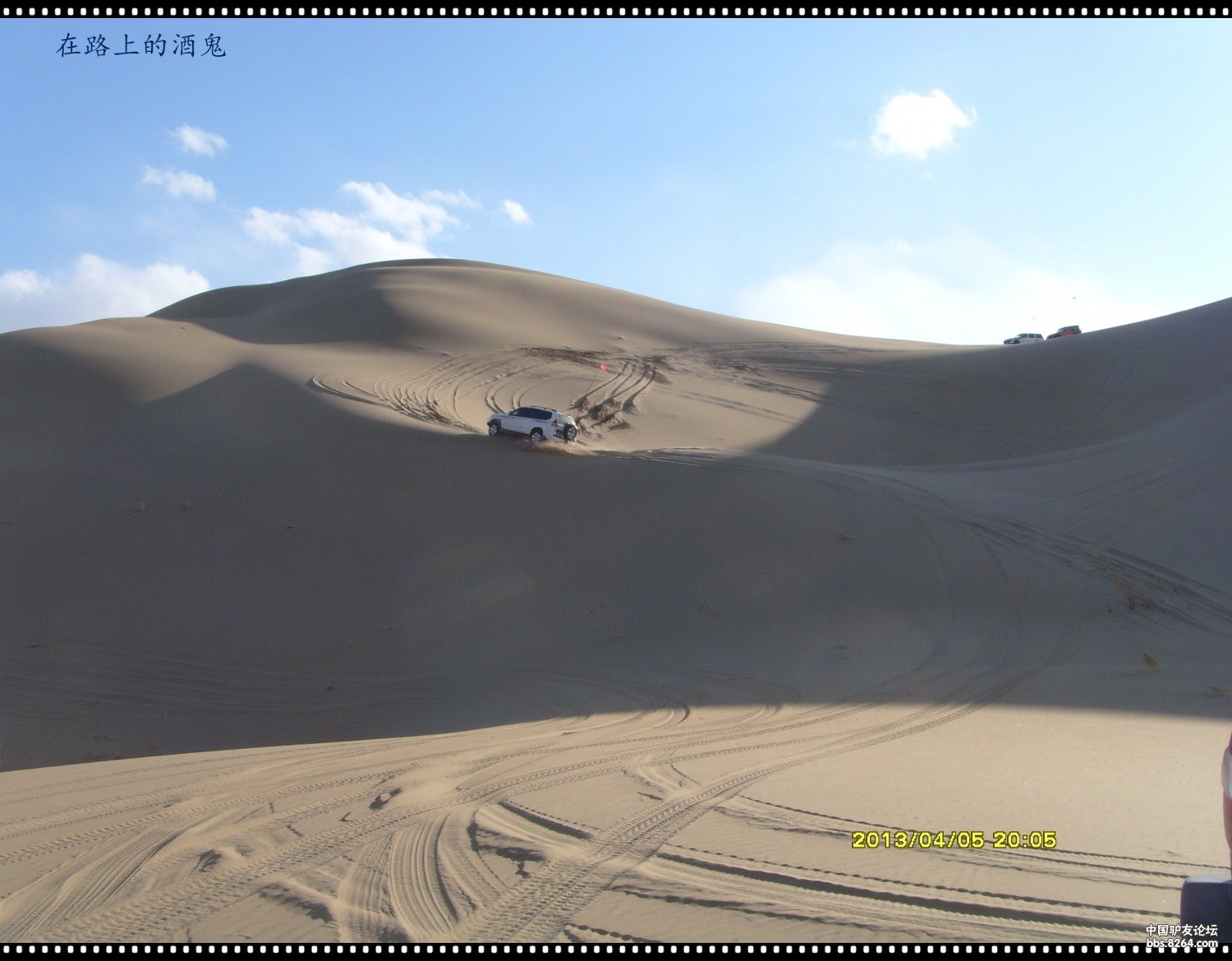 战战兢兢，揭秘生肖中的谨慎之王—鼠的智慧与选择