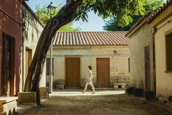 高耸入云猜一动物，中蕴含的哲理