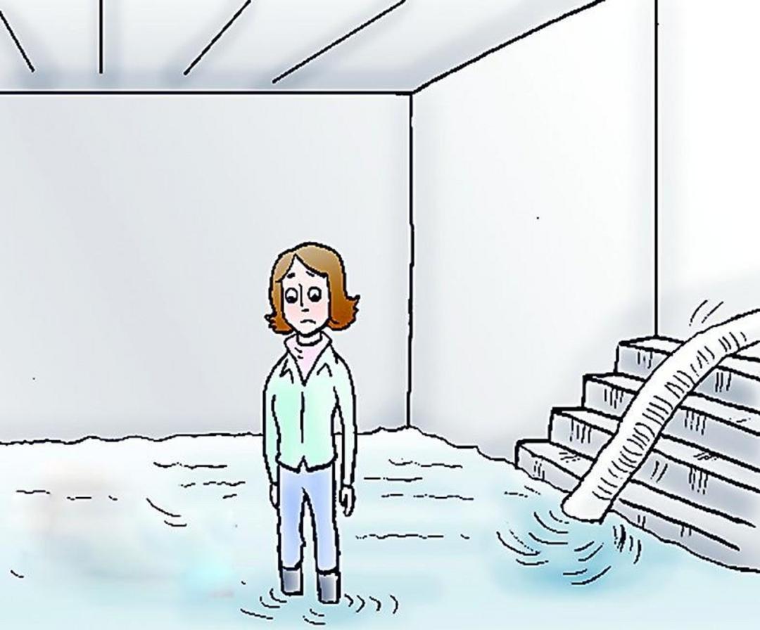 十二生肖万年历查询，深度解析与落实