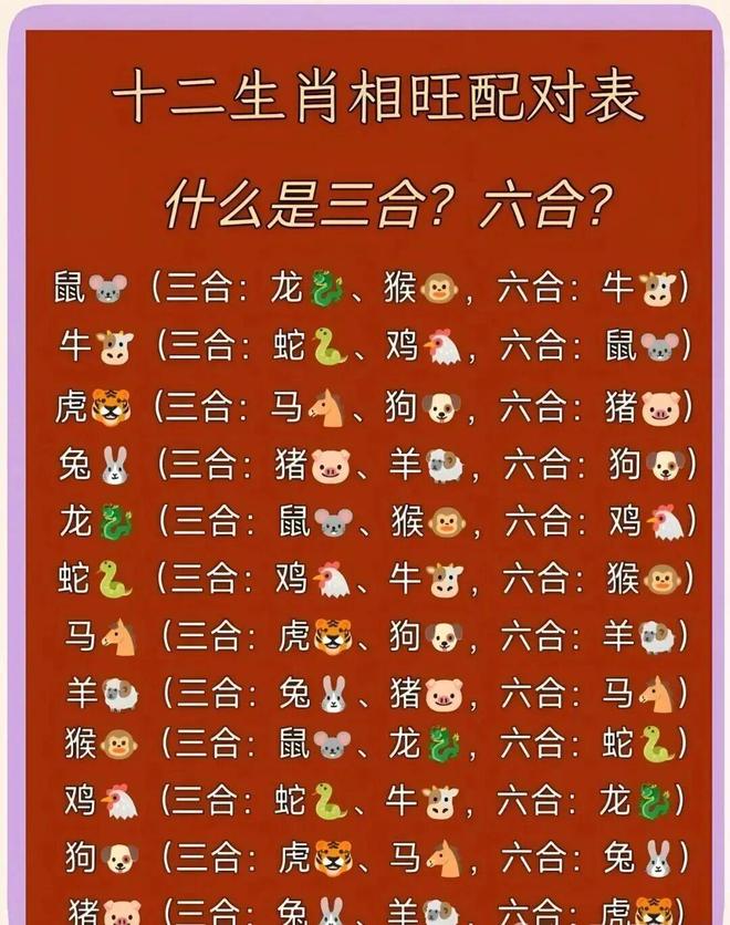 十二生肖的三合六合，传统智慧与现代积极实践的融合